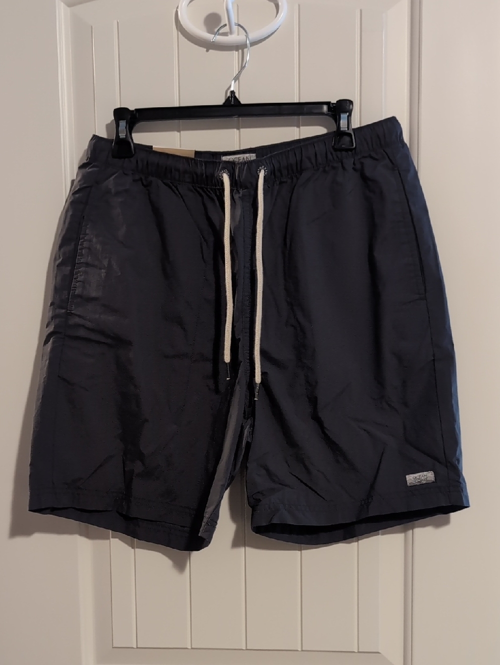 Ocean Coast Mens Swim Shorts in Gray